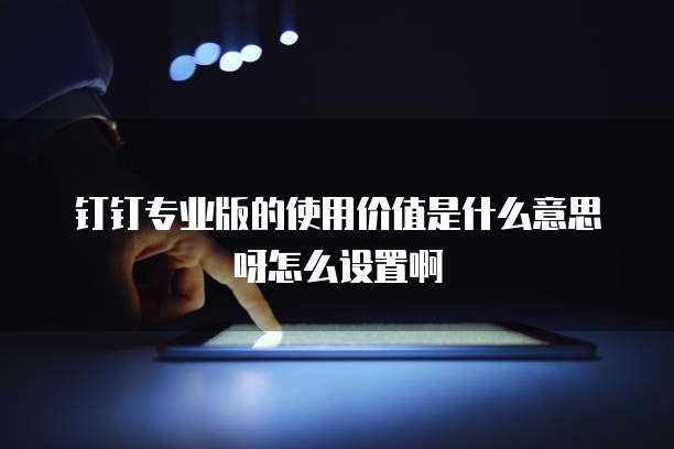 钉钉专业版的使用价值是什么意思呀怎么设置啊