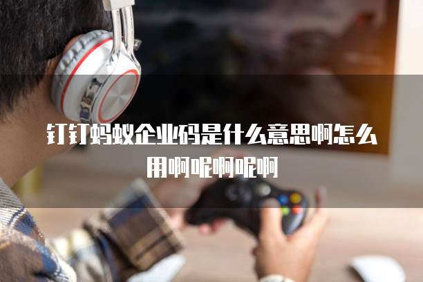 钉钉蚂蚁企业码是什么意思啊怎么用啊呢啊呢啊