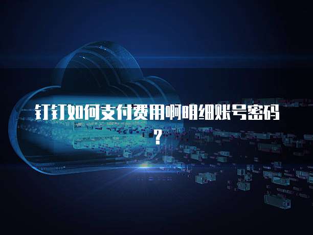 钉钉如何支付费用啊明细账号密码?