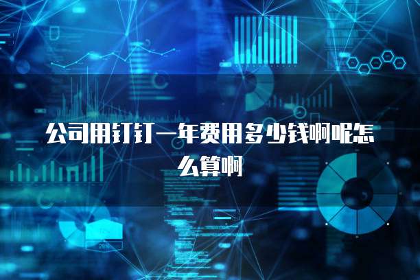 公司用钉钉一年费用多少钱啊呢怎么算啊