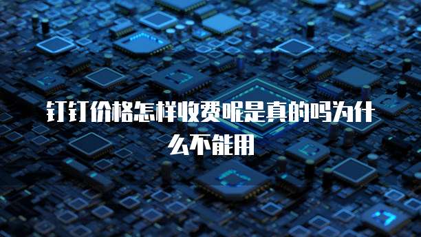 钉钉价格怎样收费呢是真的吗为什么不能用