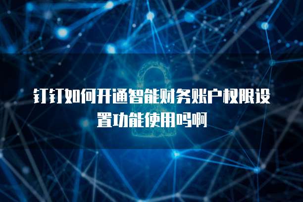 钉钉如何开通智能财务账户权限设置功能使用吗啊
