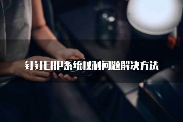 钉钉ERP系统权利问题解决方法