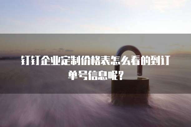 钉钉企业定制价格表怎么看的到订单号信息呢?