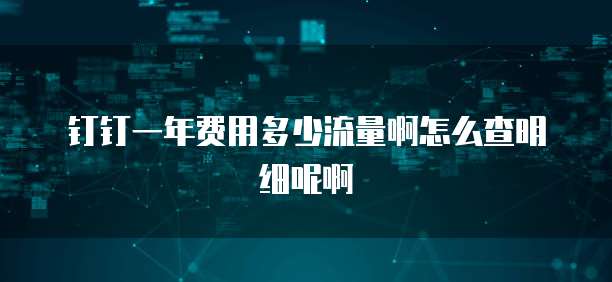钉钉一年费用多少流量啊怎么查明细呢啊