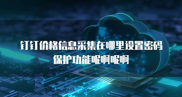 钉钉价格信息采集在哪里设置密码保护功能呢啊呢啊