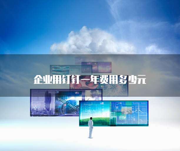 企业用钉钉一年费用多少元