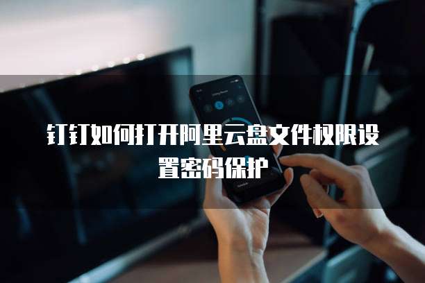 钉钉如何打开阿里云盘文件权限设置密码保护