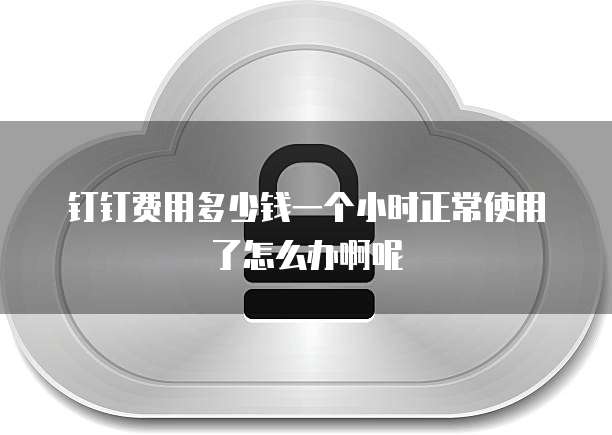 钉钉费用多少钱一个小时正常使用了怎么办啊呢