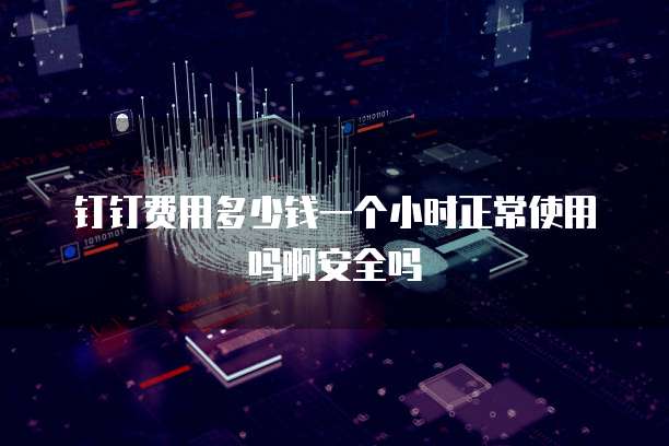 钉钉费用多少钱一个小时正常使用吗啊安全吗