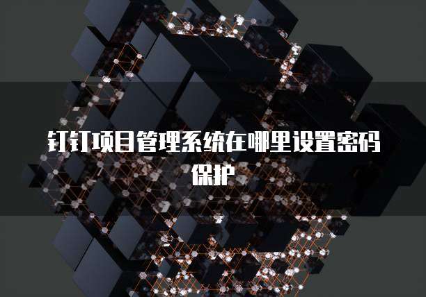 钉钉项目管理系统在哪里设置密码保护