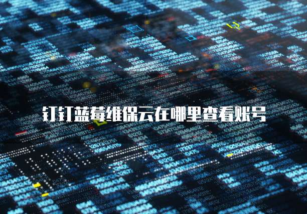 钉钉蓝莓维保云在哪里查看账号
