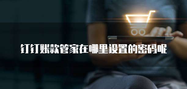 钉钉账款管家在哪里设置的密码呢