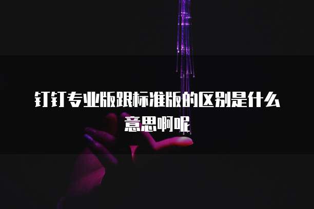 钉钉专业版跟标准版的区别是什么意思啊呢