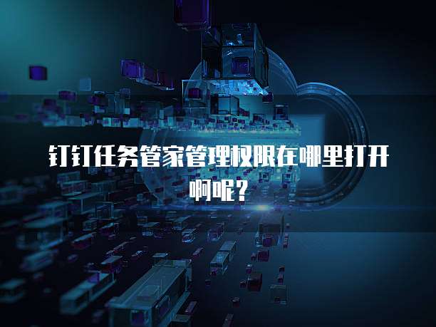 钉钉任务管家管理权限在哪里打开啊呢?