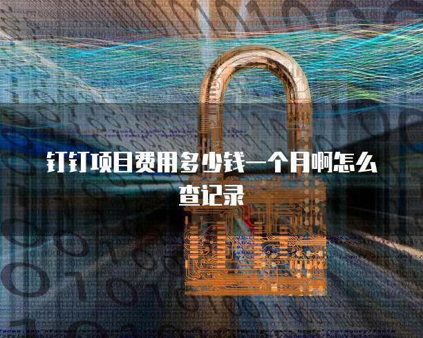 钉钉项目费用多少钱一个月啊怎么查记录
