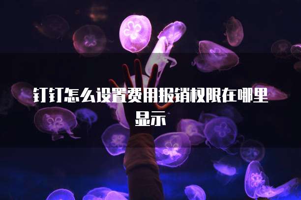 钉钉怎么设置费用报销权限在哪里显示