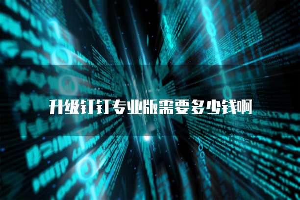 升级钉钉专业版需要多少钱啊