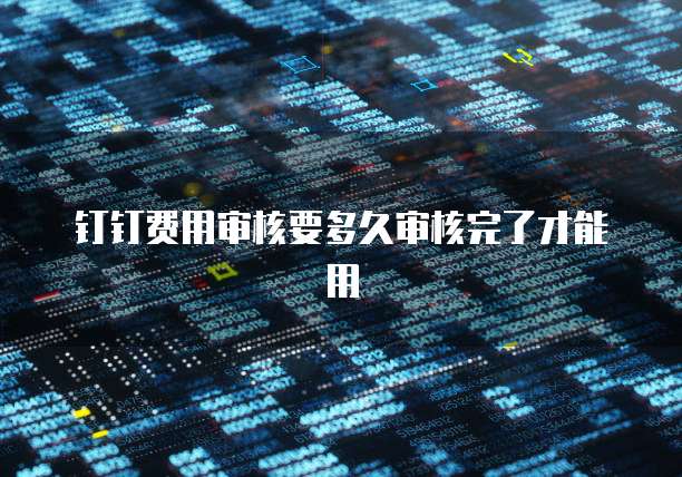 钉钉费用审核要多久审核完了才能用