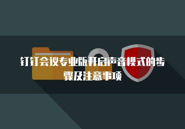 钉钉会议专业版开启声音模式的步骤及注意事项