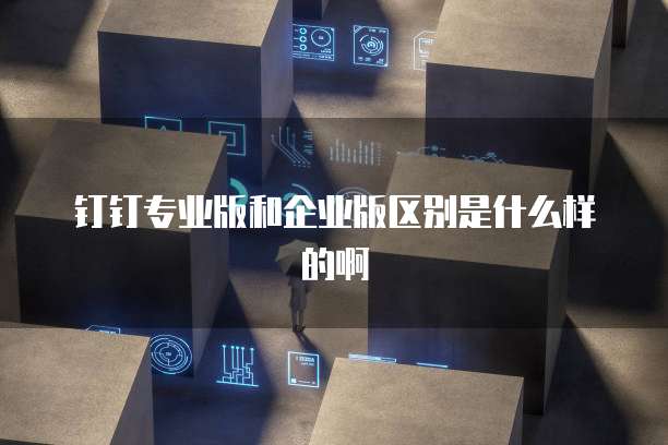 钉钉专业版和企业版区别是什么样的啊