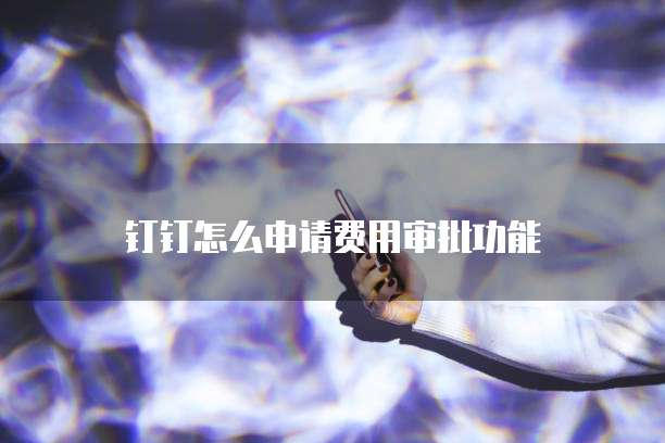 钉钉怎么申请费用审批功能