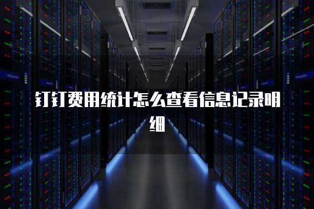 钉钉费用统计怎么查看信息记录明细