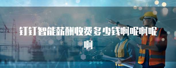钉钉智能薪酬收费多少钱啊呢啊呢啊