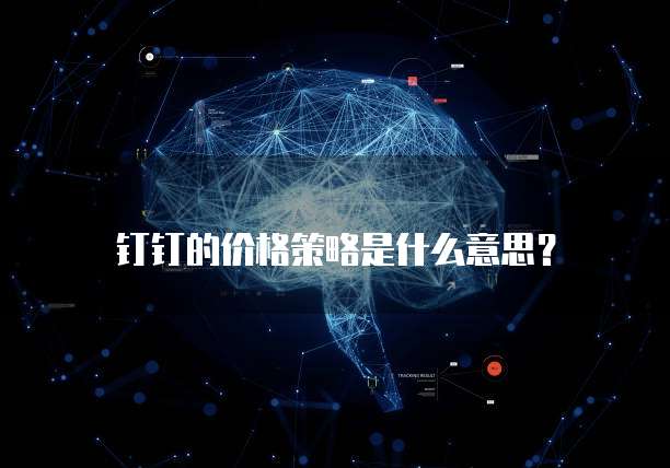 钉钉的价格策略是什么意思?
