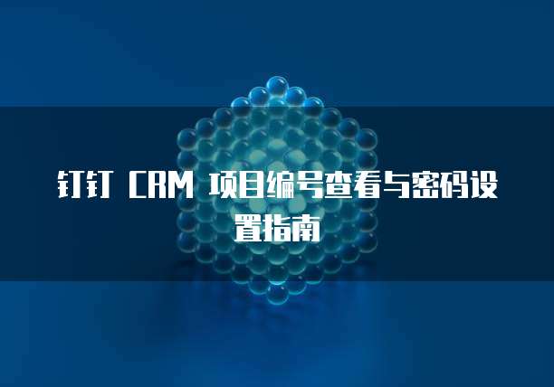 钉钉 CRM 项目编号查看与密码设置指南