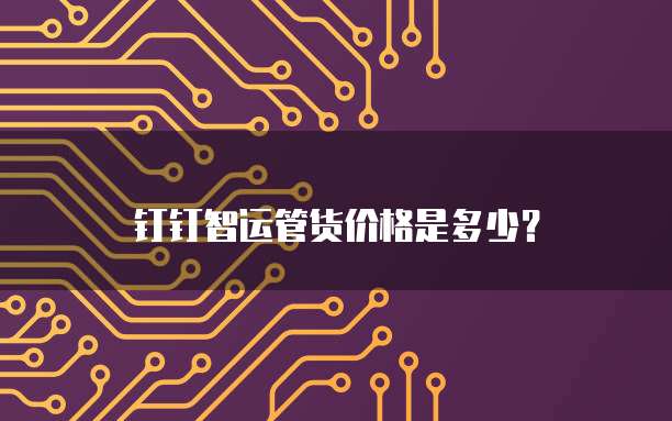 钉钉智运管货价格是多少?