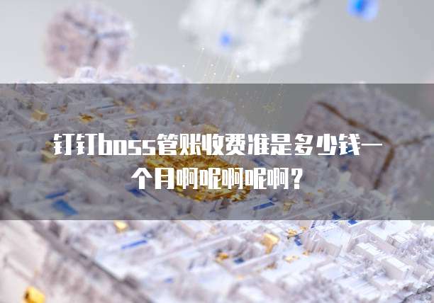 钉钉boss管账收费准是多少钱一个月啊呢啊呢啊?