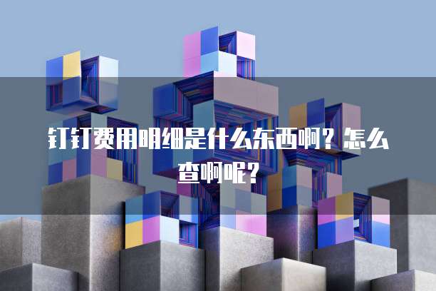 钉钉费用明细是什么东西啊?怎么查啊呢?