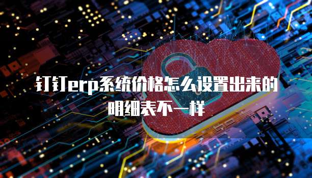 钉钉erp系统价格怎么设置出来的明细表不一样
