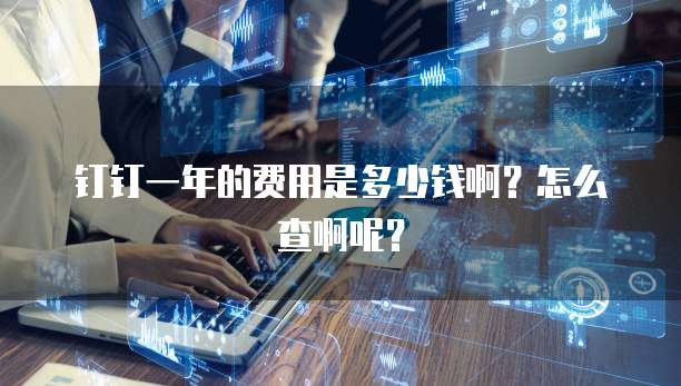 钉钉一年的费用是多少钱啊?怎么查啊呢?