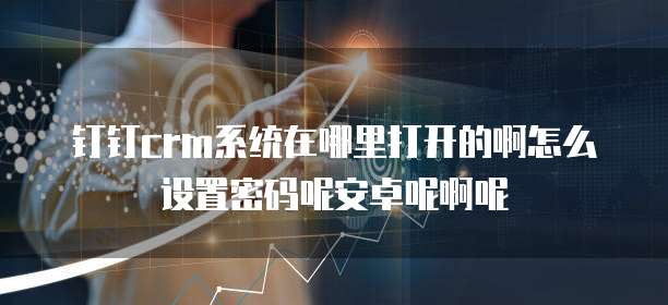 钉钉crm系统在哪里打开的啊怎么设置密码呢安卓呢啊呢
