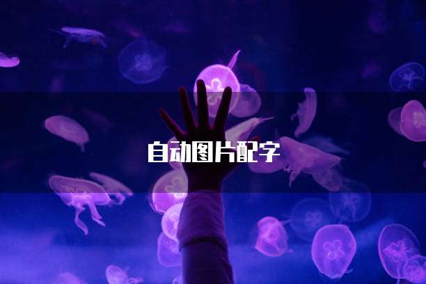 阿里钉钉价格变动