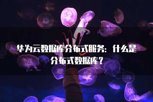 钉钉专业版升级攻略如何在最短时间内获得最新版本?