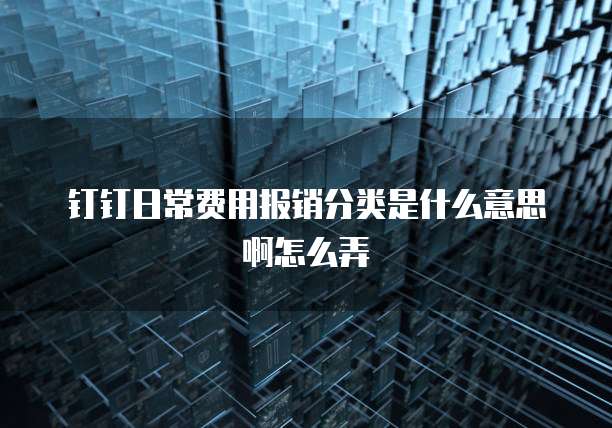 钉钉日常费用报销分类是什么意思啊怎么弄
