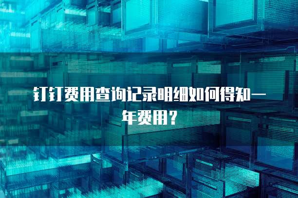 钉钉费用查询记录明细如何得知一年费用?