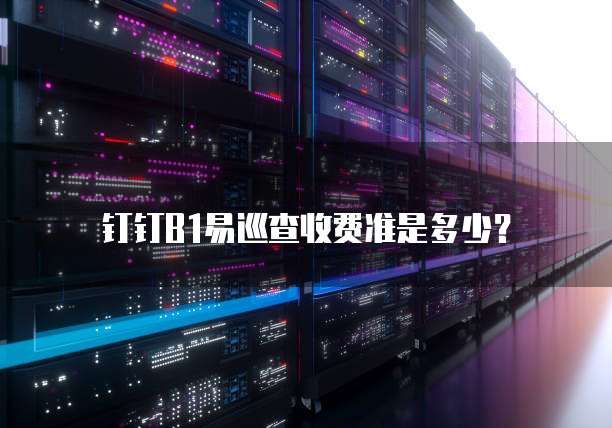 钉钉B1易巡查收费准是多少?