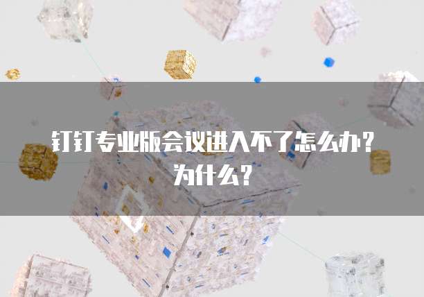 钉钉专业版会议进入不了怎么办?为什么?