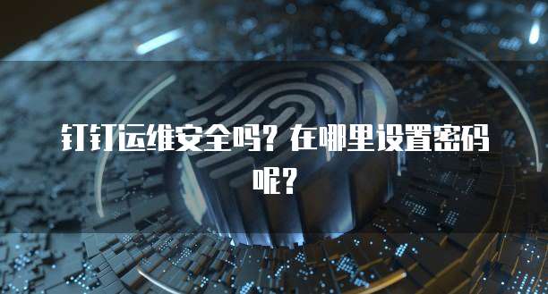 钉钉运维安全吗？在哪里设置密码呢？