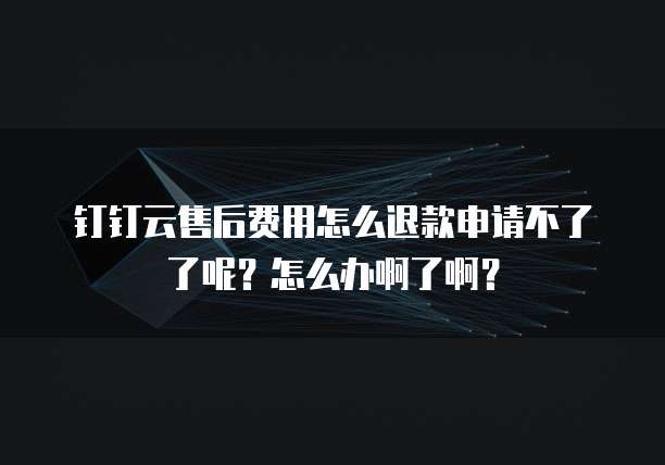 钉钉云售后费用怎么退款申请不了了呢?怎么办啊了啊?