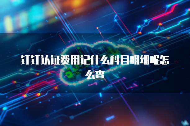 钉钉认证费用记什么科目明细呢怎么查