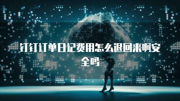 钉钉订单日记费用怎么退回来啊安全吗