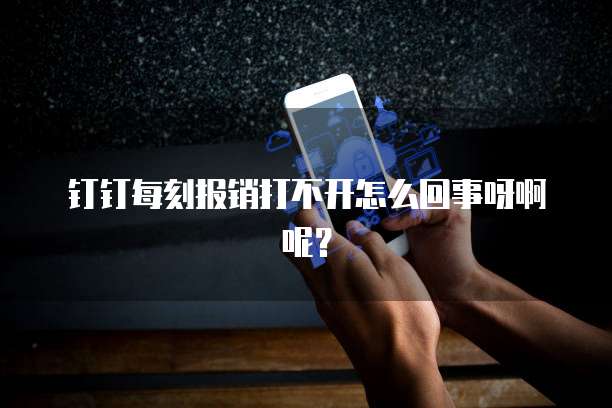 钉钉每刻报销打不开怎么回事呀啊呢?