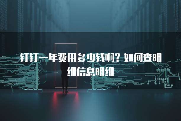 钉钉一年费用多少钱啊?如何查明细信息明细