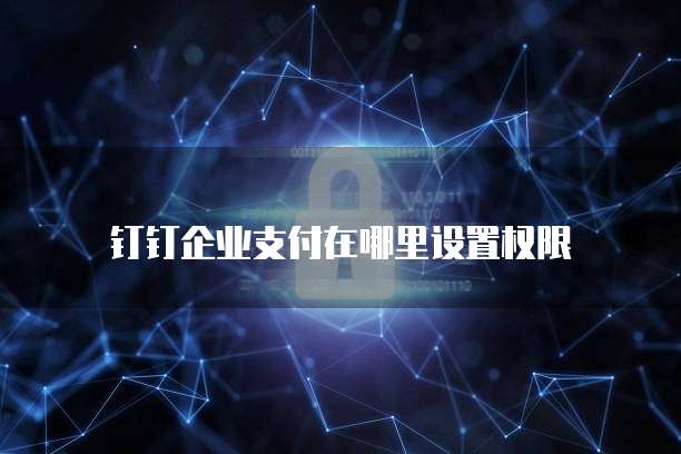 钉钉企业支付在哪里设置权限