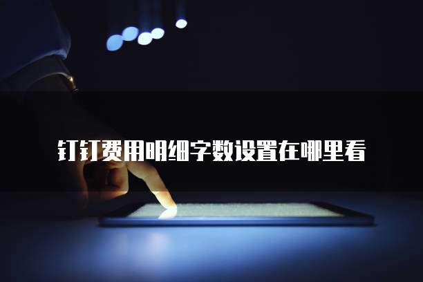 钉钉费用明细字数设置在哪里看
